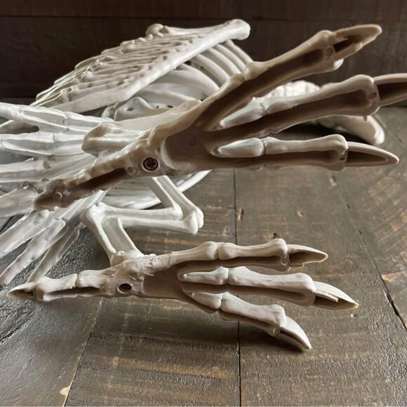 Skeleton Vulture Halloween Prop Scary Bird Raven Haunted Yard Outdoor Party Bone - Picture 5 of 8